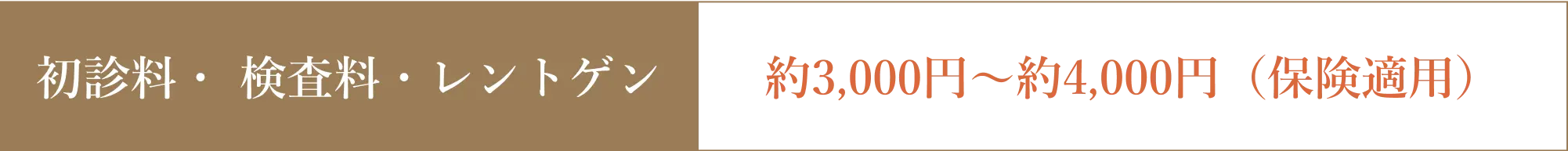 初診料・ 検査料・レントゲン